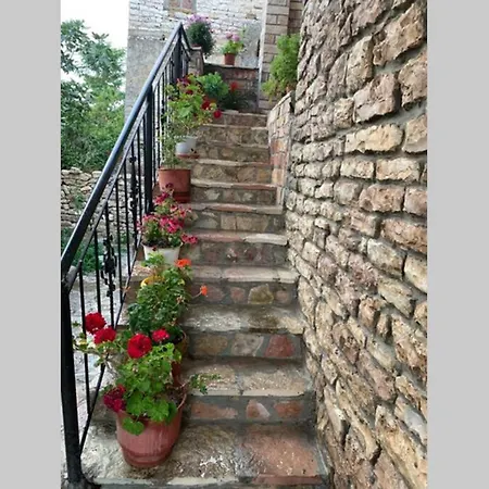 Tatil Evi Kubeja Gjirokastër