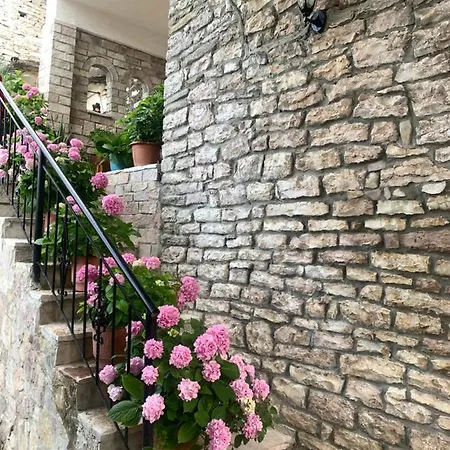 Kubeja *