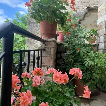 Casa de Férias Kubeja Gjirokastër
