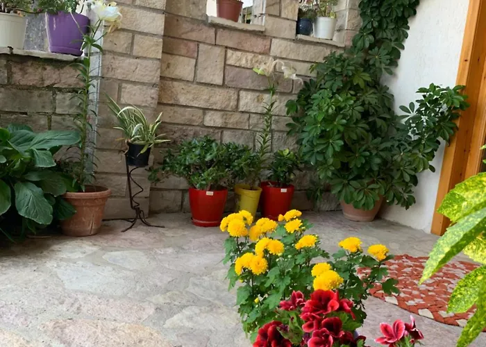 Kubeja * Gjirokastër