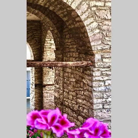 Kubeja