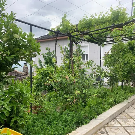 Kubeja *