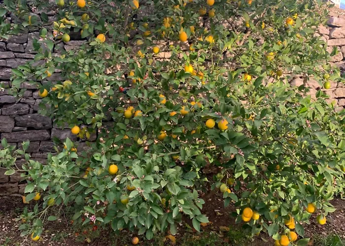 Dom wakacyjny Kubeja *